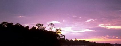 Purple Sunset