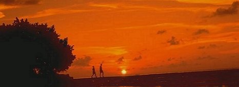 Red Sunset